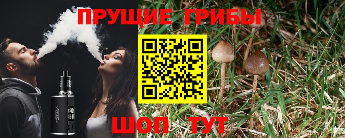 Вичуга  Псилоцибиновые грибы Magic Shrooms  Вход с VPN 