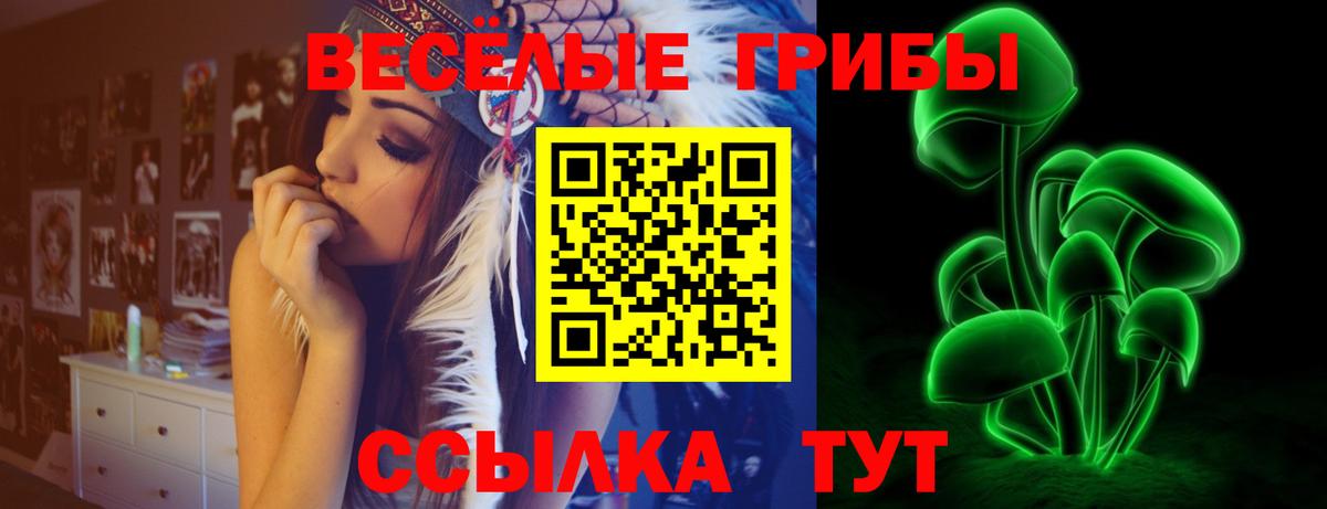 Псилоцибиновые грибы MAGIC MUSHROOMS Вичуга